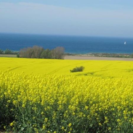 فيلا Reetdachhaus Salzhaff Pepelow المظهر الخارجي الصورة